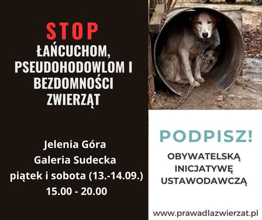 Złóż podpis pod obywatelskim projektem ustawy "Stop łańcuchom, pseudohodowlom i bezdomności zwierząt" w Galerii Sudeckiej - plakat zachęcający do złożenia podpisu w celu pomocy zwierzętom