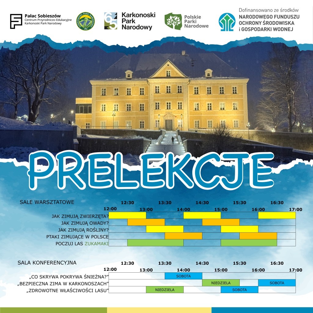 jarmark zimowy program prelekcji 