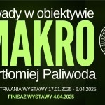 wystawa fotografii bartłomieja paliwody owady w obiektywie makro