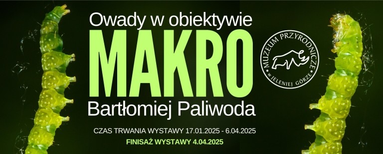 wystawa fotografii bartłomieja paliwody owady w obiektywie makro