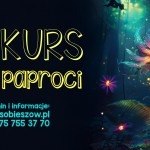 konkurs platyczny kwiat paproci