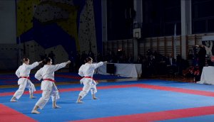 sudetes open karate grand prix