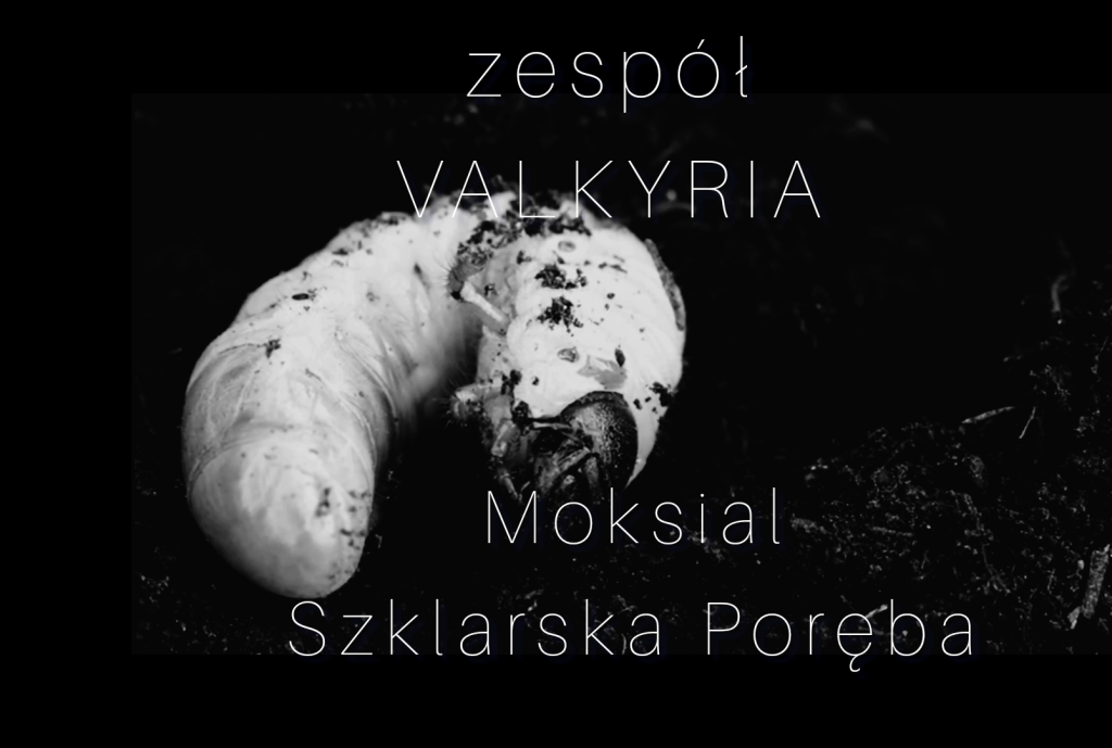 zaproszenie na koncert