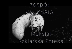zaproszenie na koncert