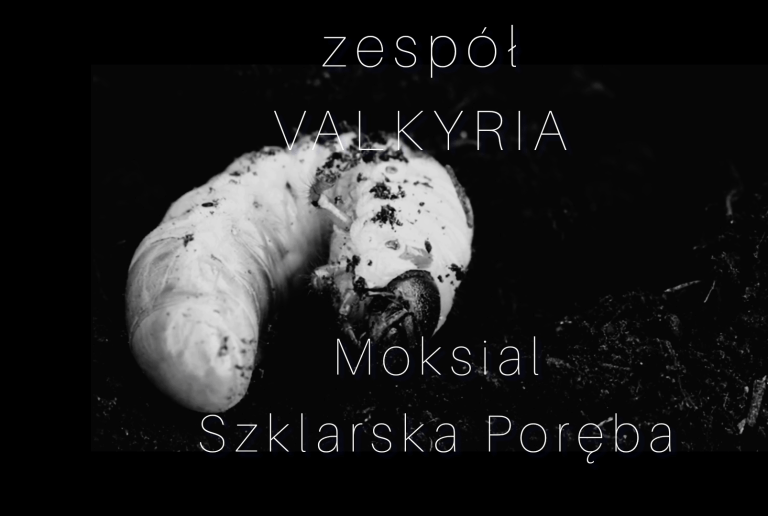 zaproszenie na koncert