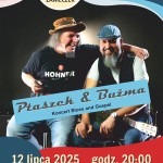 letnie brzmienia w zameczku