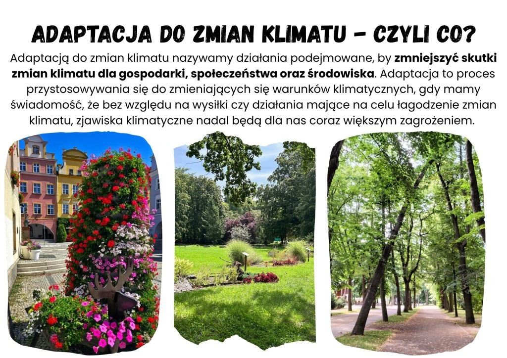 akcja segregacja