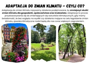 akcja segregacja