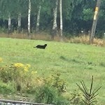 Policja apeluje o szczególną ostrożność