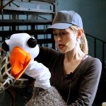 Brzydkie Kaczątko na nowo wystawi Zdrojowy Teatr Animacji