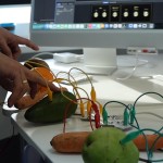 Wyjątkowy Piknik Naukowy - szkoła w Giebułtowie, którą prowadzi Fundacja DITERO, to nowoczesna edukacja integracyjna